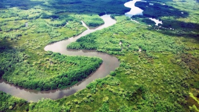Sierpe River Aerial View